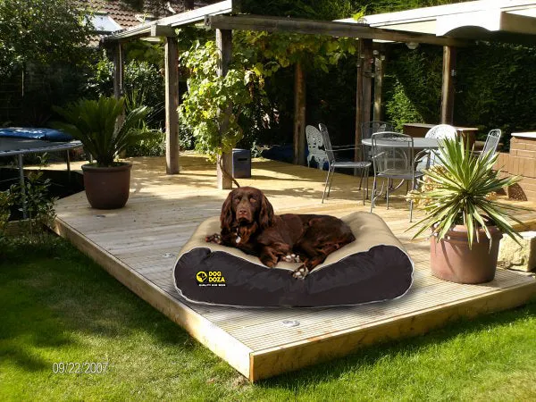 Active Dog Bed