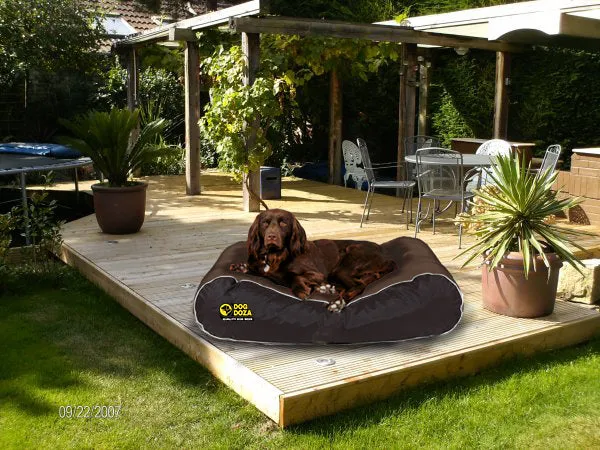 Active Dog Bed