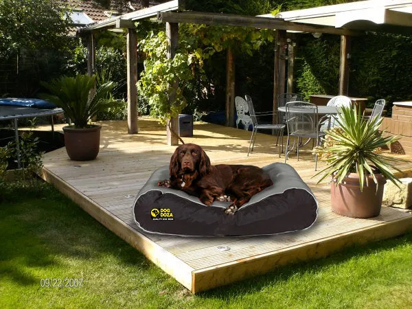 Active Dog Bed