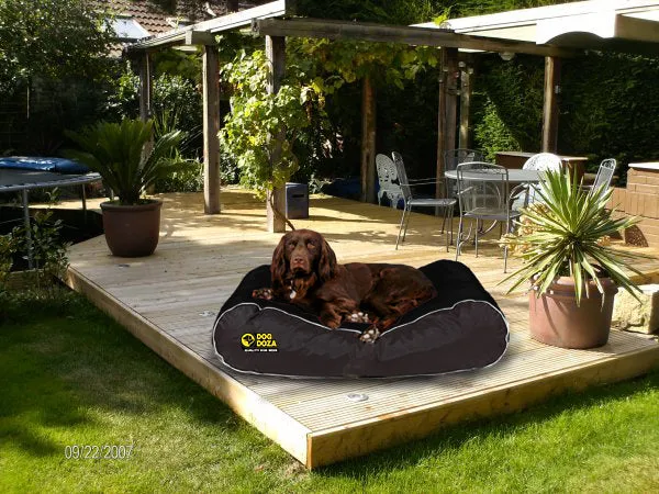 Active Dog Bed