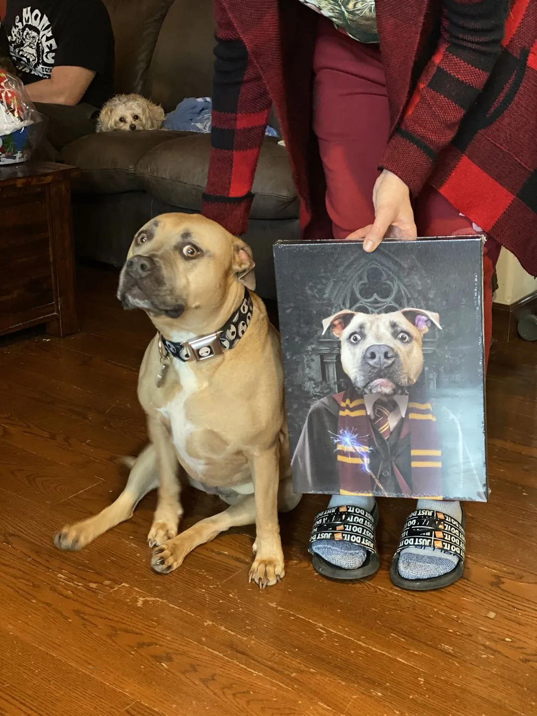 Gryfting Away - Harry Potter Inspired Custom Pet Portrait Canvas