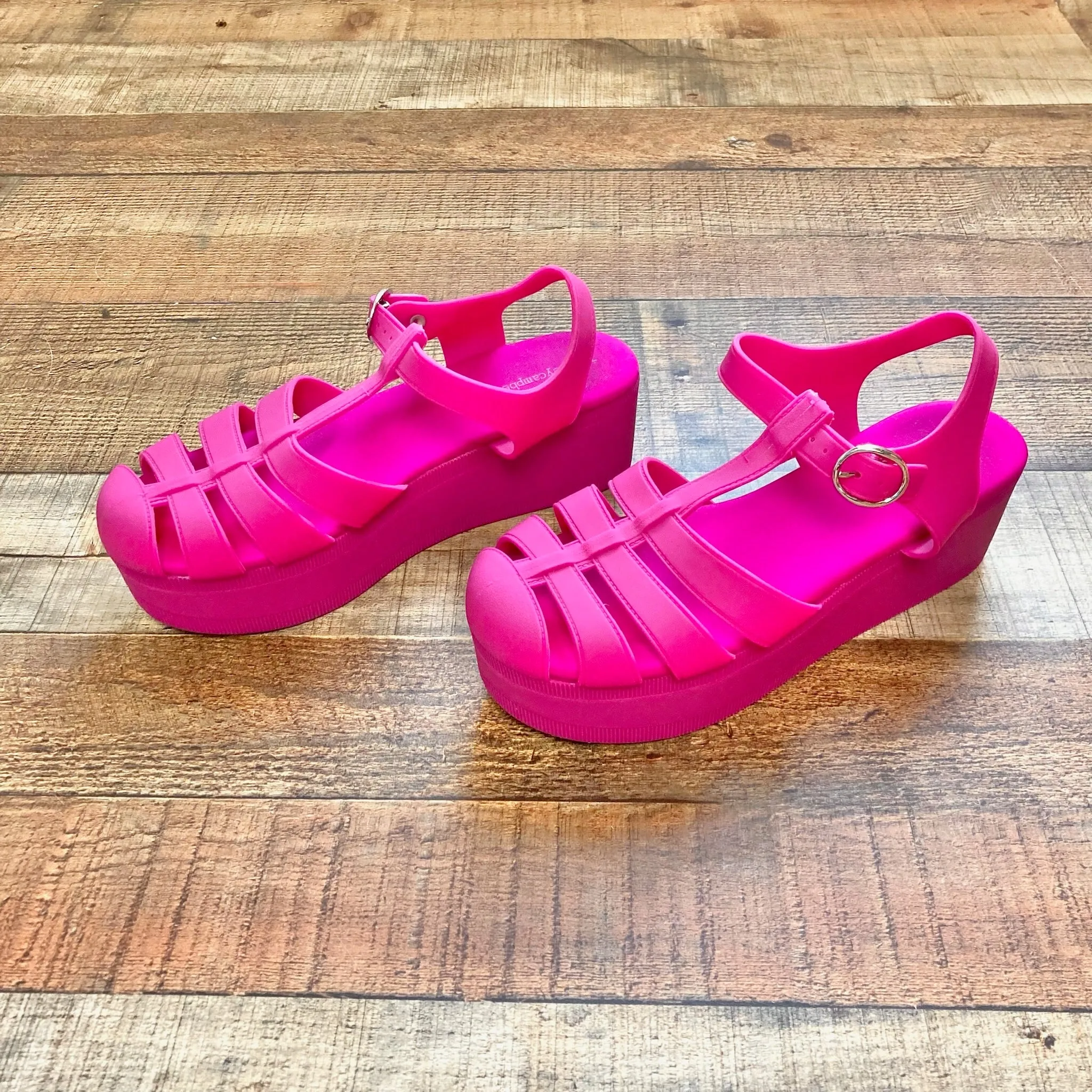 Jeffrey Campbell Pink Platform Fisherman Jelly Sandals- Size 9 (sold out online)