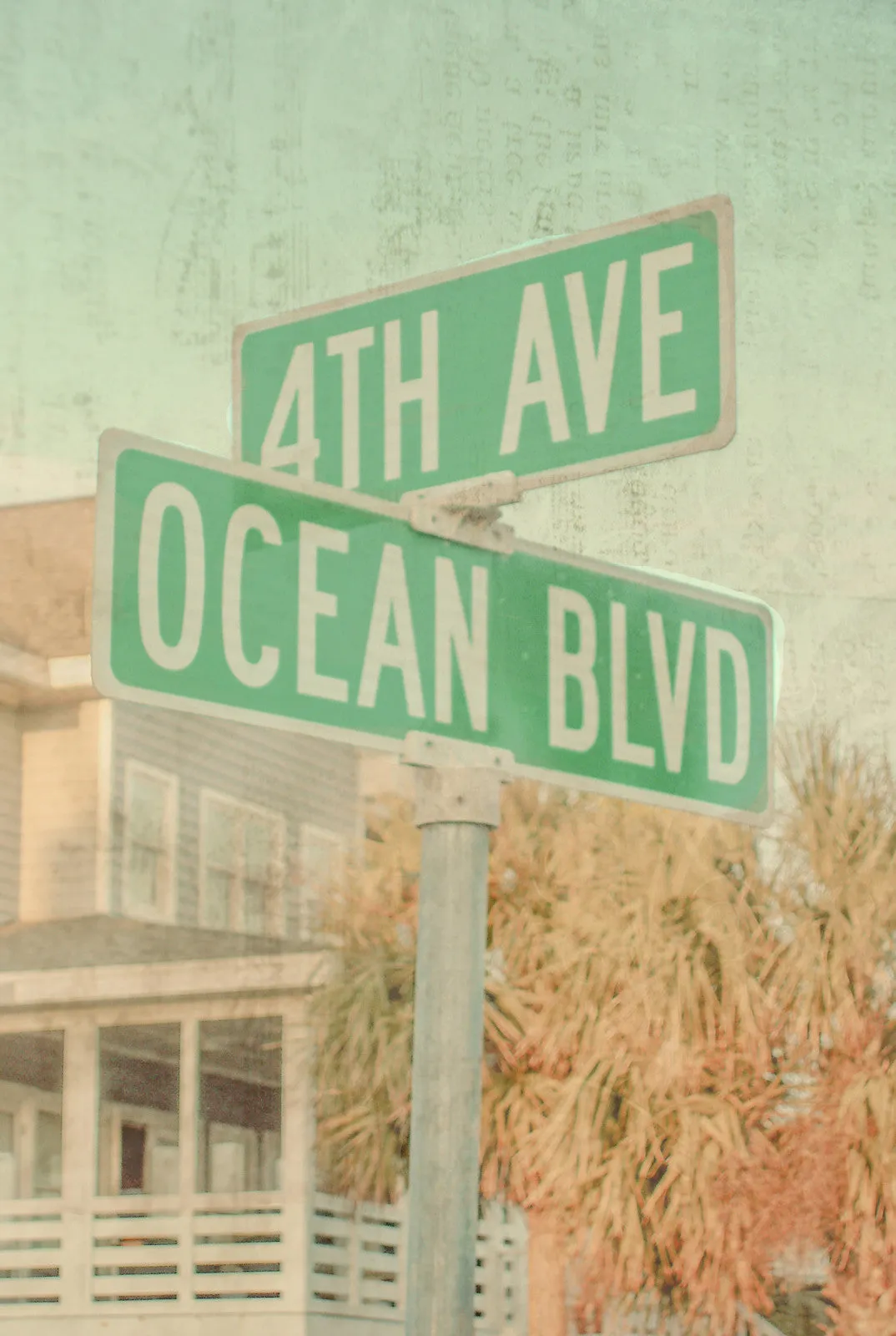 Ocean Boulevard