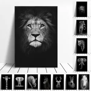 The Finest African Animal Wall Art Prints (50x70cm)