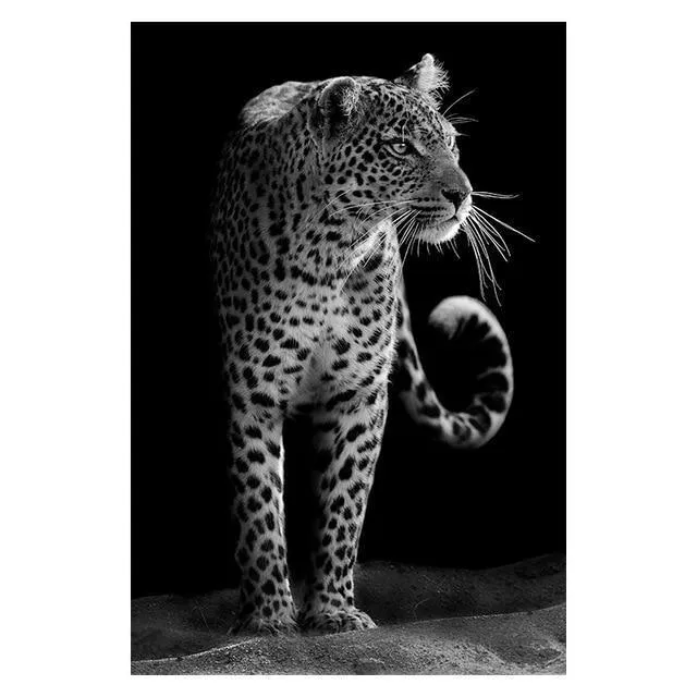 The Finest African Animal Wall Art Prints (50x70cm)