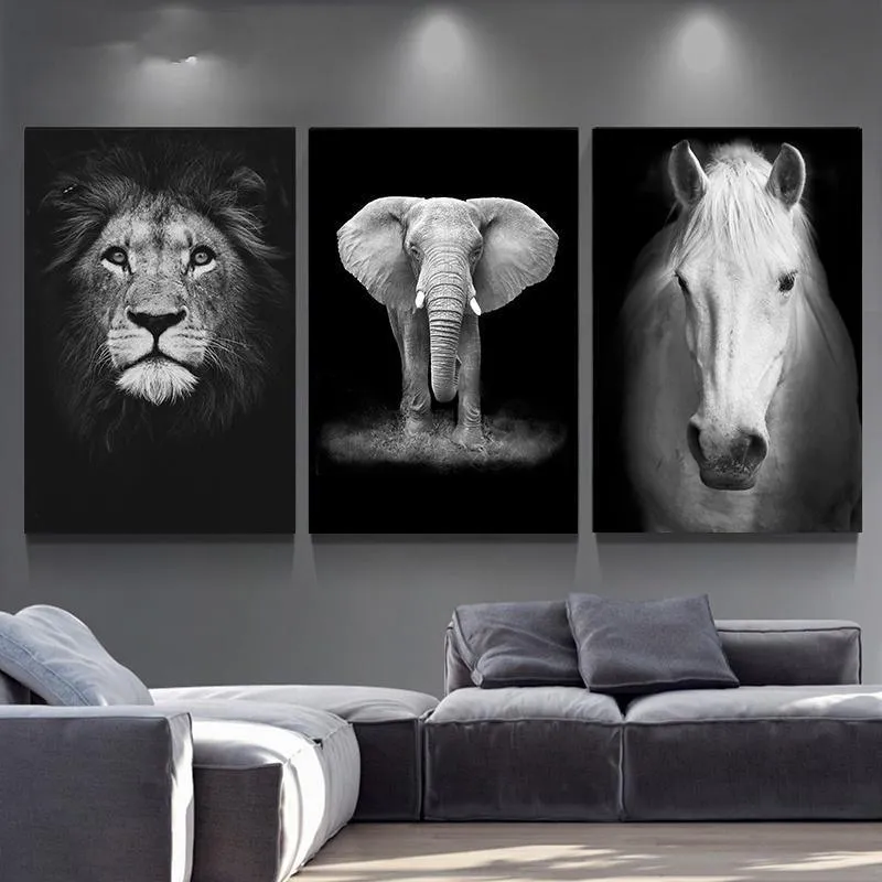 The Finest African Animal Wall Art Prints (50x70cm)